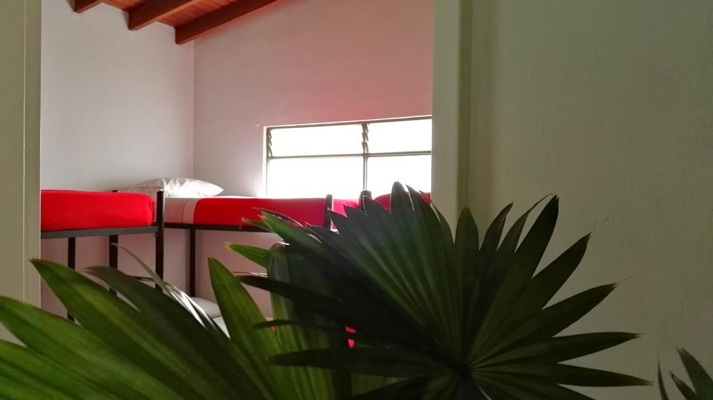 Saman Hostel Medellín Exteriér fotografie
