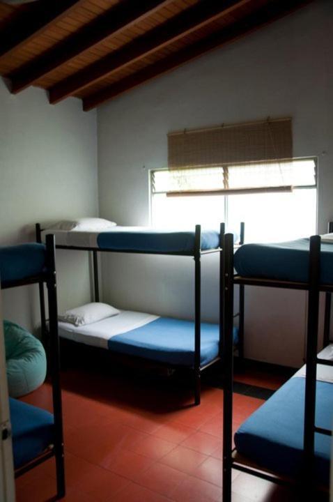 Saman Hostel Medellín Exteriér fotografie